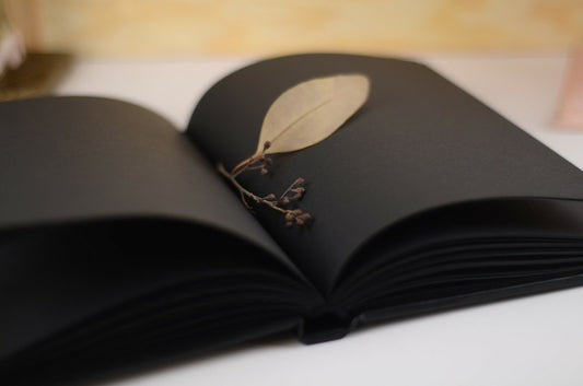 Sleek black hardcover notebook lying open to show black paper pages