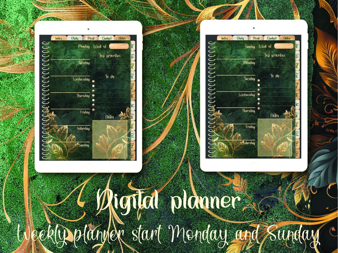 digital planner for iPad